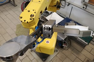 Stanowiska zrobotyzowane z wykorzystaniem robotów FANUC M-10iA - 21